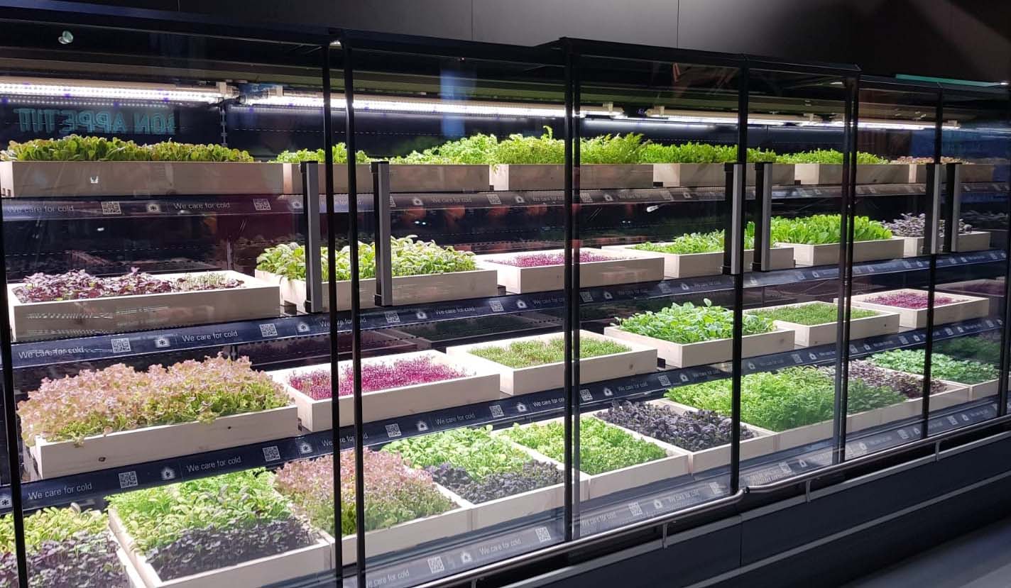 VERTICAL FARMS